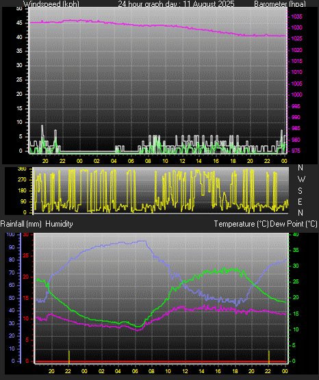 24 Hour Graph for Day 11