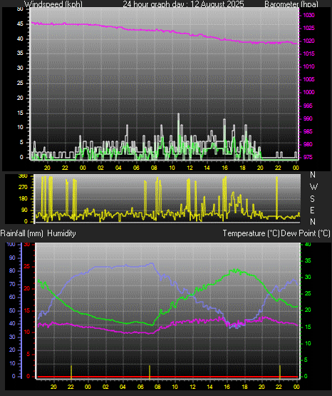 24 Hour Graph for Day 12