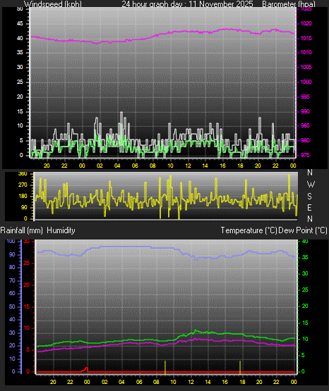 24 Hour Graph for Day 11