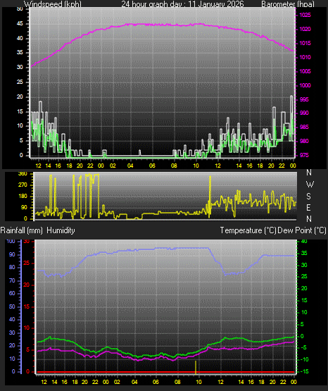 24 Hour Graph for Day 11