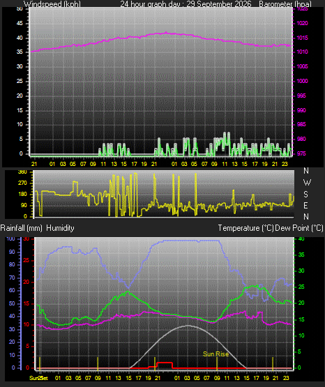 24 Hour Graph for Day 29