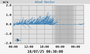 Wind Vector